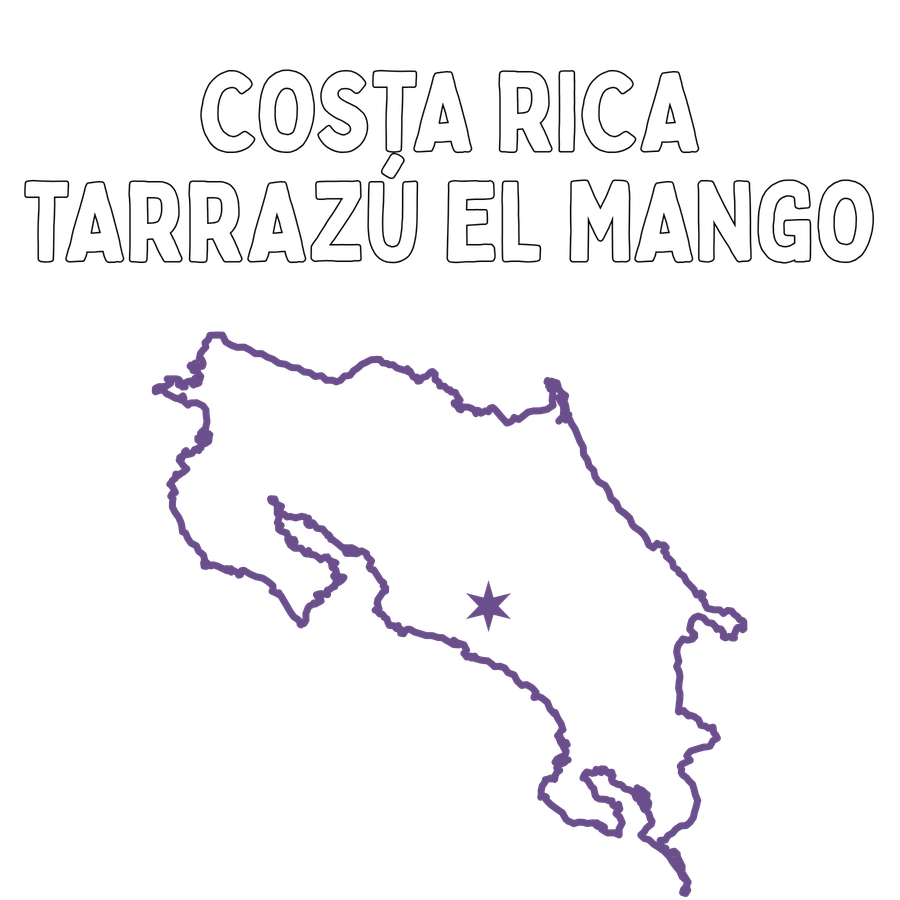 Costa Rica Tarrazú El Mango