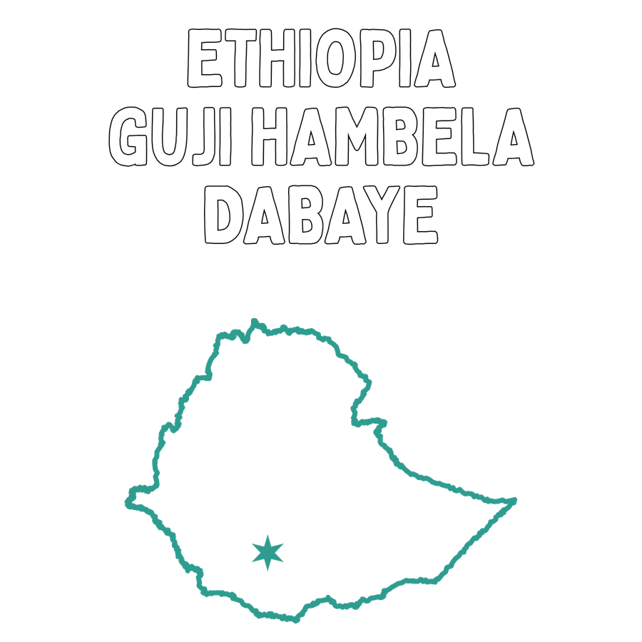 Ethiopia Guji Hambela Dabaye